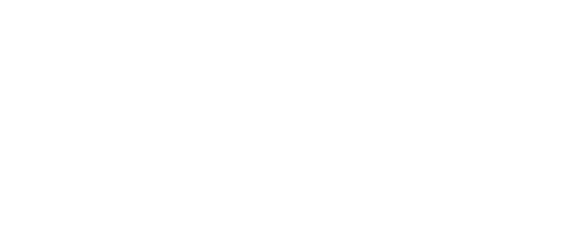 DSW Logo